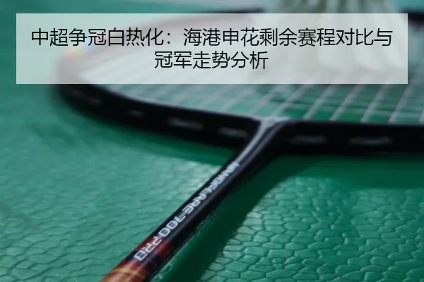 中超争冠白热化：海港申花剩余赛程对比与冠军走势分析